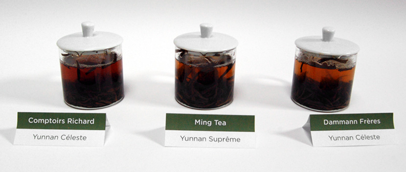 Tea Battle Yunnan Céleste - Infusion