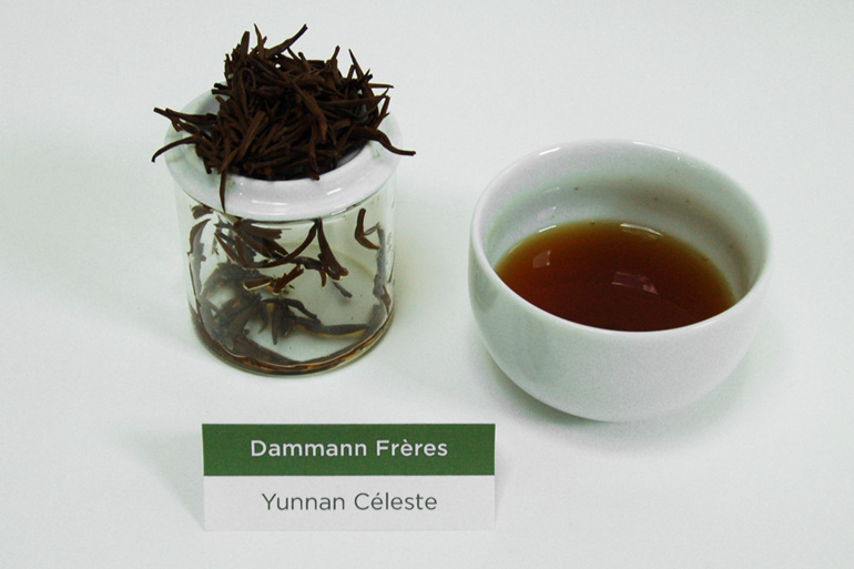 Tea Battle Yunnan Céleste - Vainqueur