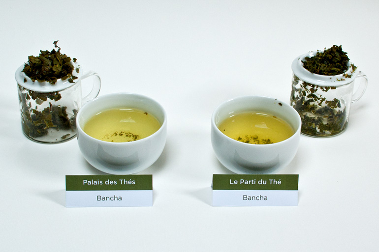 Tea Battle Japonaise - Bancha